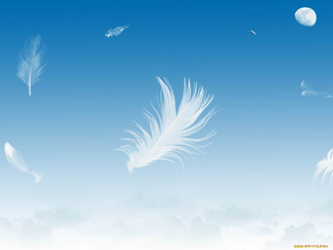 , desktop, decor